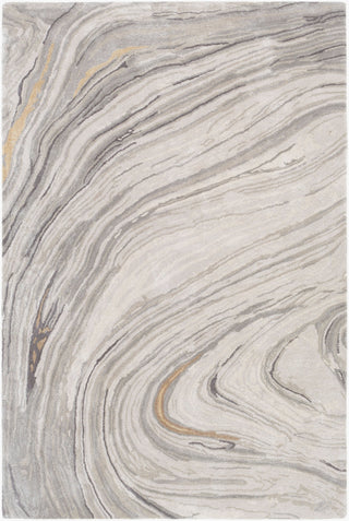 Surya Kavita KVT-2304 Area Rug main image