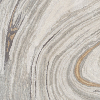 Surya Kavita KVT-2304 Area Rug Swatch
