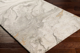 Surya Kavita KVT-2314 Area Rug Corner Shot
