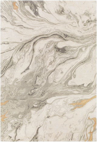 Surya Kavita KVT-2314 Area Rug main image
