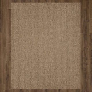 Karastan Lanai Brown Area Rug by Salt Life Main Image