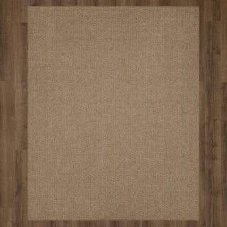 Karastan Lanai Brown Area Rug by Salt Life Main Image