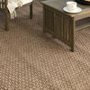 Karastan Lanai Brown Area Rug by Salt Life Room Scene Image