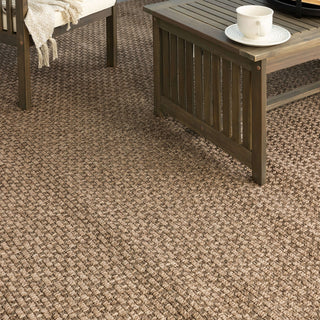 Karastan Lanai Brown Area Rug by Salt Life Room Scene Image