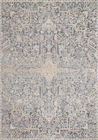 Loloi Lucia LUC-02 Charcoal/Multi Area Rug main image