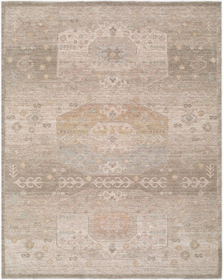 Livabliss Ladik LDK-2302 Area Rug main image
