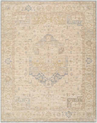 Livabliss Ladik LDK-2309 Area Rug main image