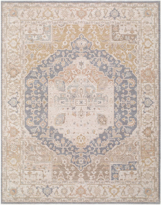 Livabliss Ladik LDK-2310 Area Rug main image