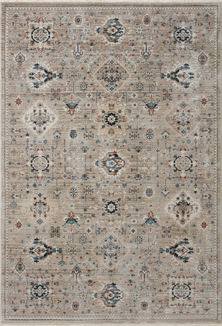Loloi Leigh LEI-02 Dove / Multi Area Rug main image
