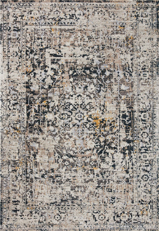 Loloi Leigh LEI-03 Charcoal / Taupe Area Rug Main Image