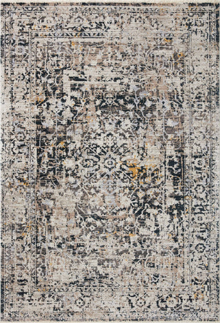 Loloi Leigh LEI-03 Charcoal / Taupe Area Rug main image