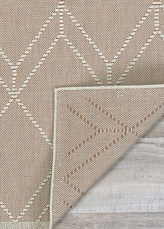 Couristan Liguria Noli Umber Area Rug Main