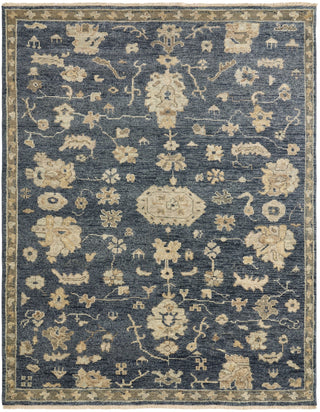 Ancient Boundaries Lily LIL-04 Midnight Area Rug Main Image