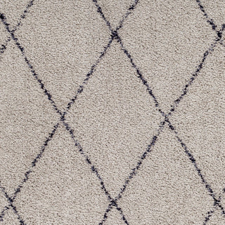 Livabliss Lykke LKK-2302 Taupe Area Rug Swatch
