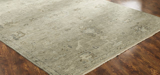 Ancient Boundaries Lily LIL-01 Sand Dune Area Rug Close Up Image