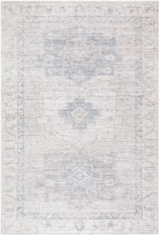 Livabliss Ember LLEB-2303 Area Rug main image