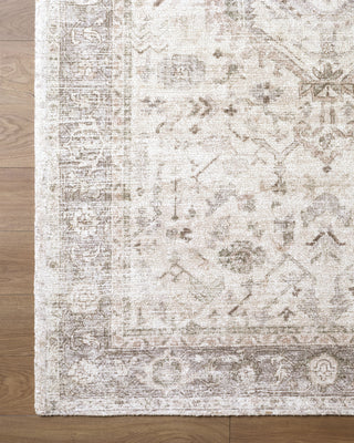 Livabliss Hearth LLHT-2302 Area Rug Overhead Image