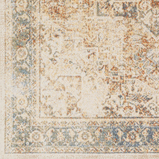 Livabliss Lillian LLL-2317 Area Rug Swatch