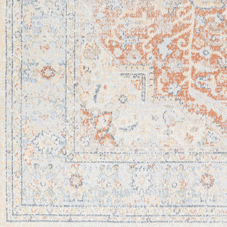 Livabliss Lillian LLL-2333 Area Rug Swatch