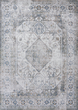 Livabliss Lillian LLL-2351 Machine Washable Area Rug by Surya 5 X 8