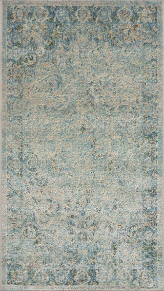 Livabliss Lillian LLL-2366 Machine Washable Area Rug by Surya main image