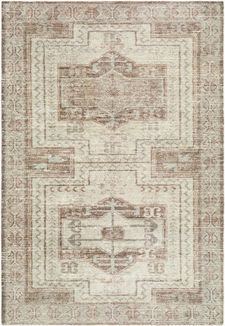 Livabliss Silt LLSL-2300 Area Rug main image