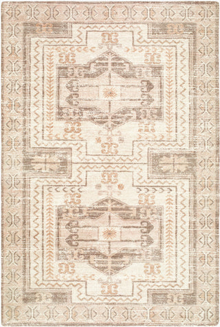 Livabliss Silt LLSL-2302 Area Rug main image