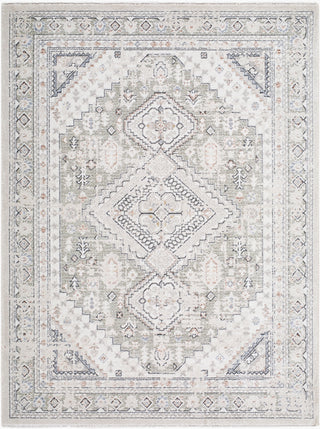 Livabliss Lausanne LNN-2301 Area Rug main image