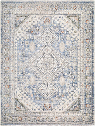 Livabliss Lausanne LNN-2302 Area Rug main image