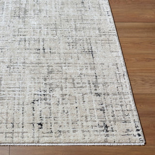 Livabliss Lausanne LNN-2303 Area Rug Angle