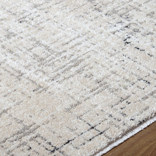 Livabliss Lausanne LNN-2303 Area Rug Detail
