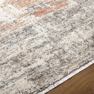 Livabliss Lausanne LNN-2304 Area Rug Detail