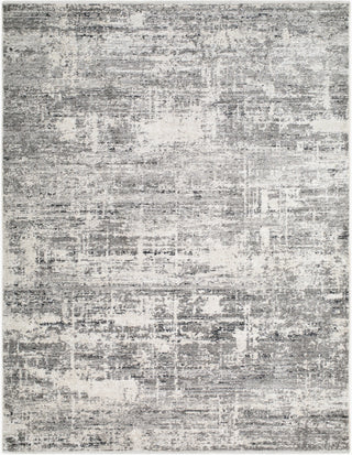 Livabliss Lausanne LNN-2305 Area Rug main image