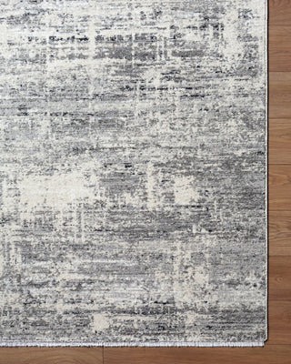 Livabliss Lausanne LNN-2305 Area Rug Overhead Image