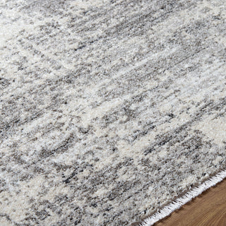Livabliss Lausanne LNN-2305 Area Rug Detail