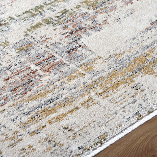 Livabliss Lausanne LNN-2306 Area Rug Detail