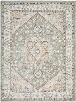 Livabliss Lausanne LNN-2309 Area Rug main image