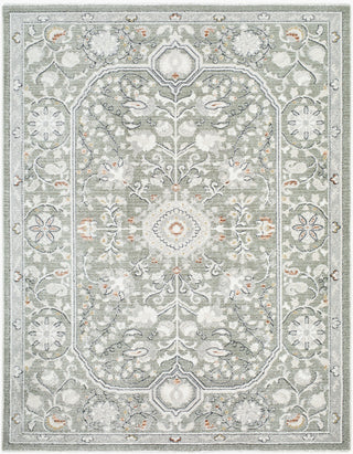 Livabliss Lausanne LNN-2311 Area Rug main image
