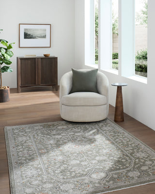 Livabliss Lausanne LNN-2311 Area Rug Room Scene