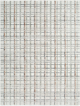 Livabliss Lausanne LNN-2314 Area Rug main image