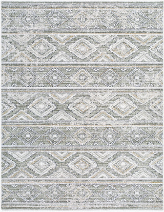 Livabliss Lausanne LNN-2315 Area Rug main image