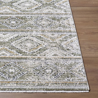 Livabliss Lausanne LNN-2315 Area Rug Angle