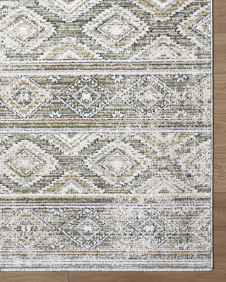 Livabliss Lausanne LNN-2315 Area Rug Overhead Image