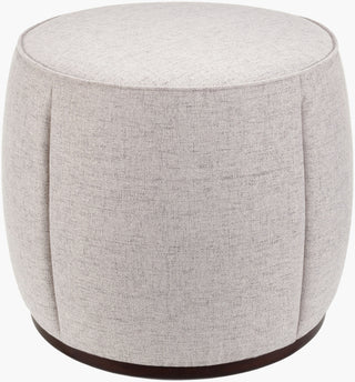 Surya Lanza LNZ-002 Light Gray / Dark Brown Furniture main image