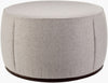 Surya Lanza LNZ-005 Light Gray / Dark Brown Furniture main image