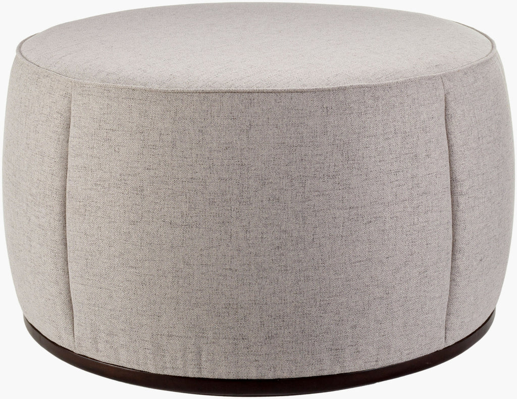 Surya Lanza LNZ-005 Light Gray / Dark Brown Furniture main image