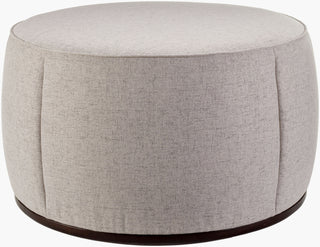 Surya Lanza LNZ-005 Light Gray / Dark Brown Furniture main image