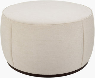 Surya Lanza LNZ-006 Light Beige / Dark Brown Furniture main image