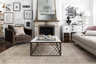 Loloi II Loren LQ-03 Sand/Taupe Area Rug Lifestyle Image Feature