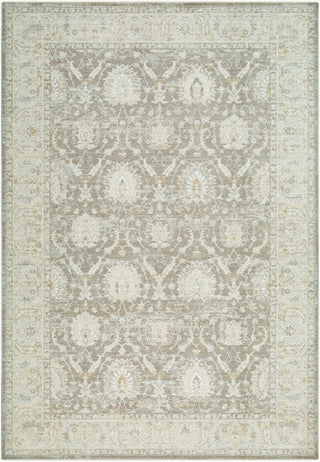 Livabliss Lotus LOT-2306-Taupe-Ivory-Silver-Beige Area Rug main image